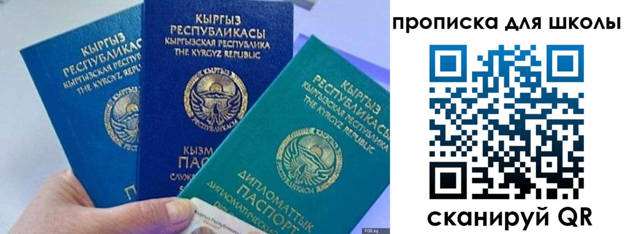 прописка регистрация в Приморском крае